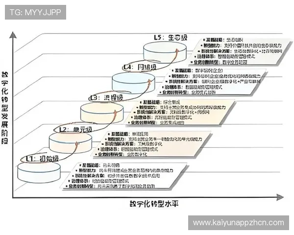 开云网络在数字化转型中的关键作用与未来发展趋势分析